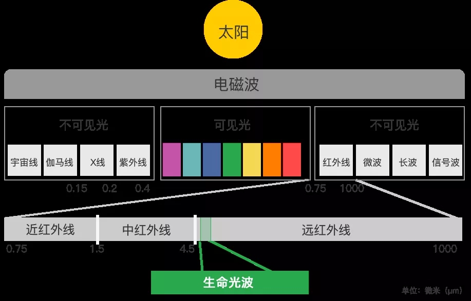 尊龙凯时人生就是搏技术原理